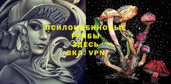 крисы Алексеевка