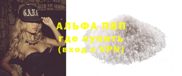 крисы Абаза