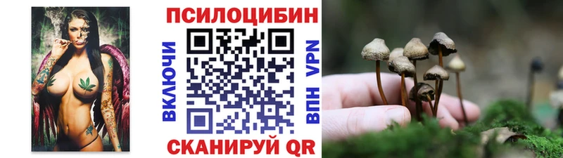 цены наркотик  Кириши  Галлюциногенные грибы Cubensis 